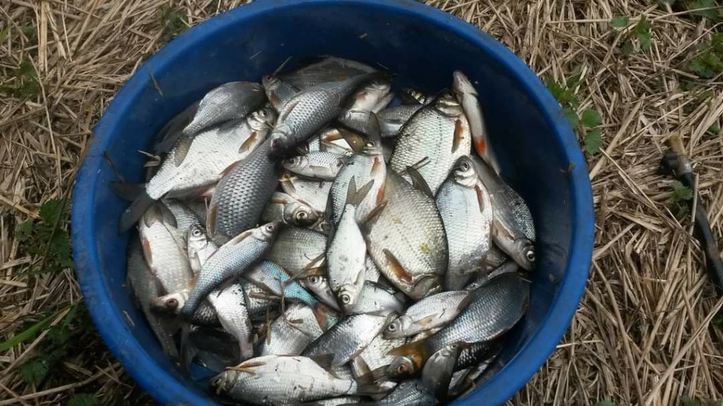 как ловить на полудонку (5).jpg